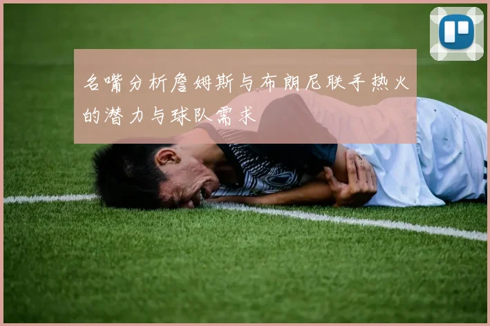 名嘴分析詹姆斯与布朗尼联手热火的潜力与球队需求